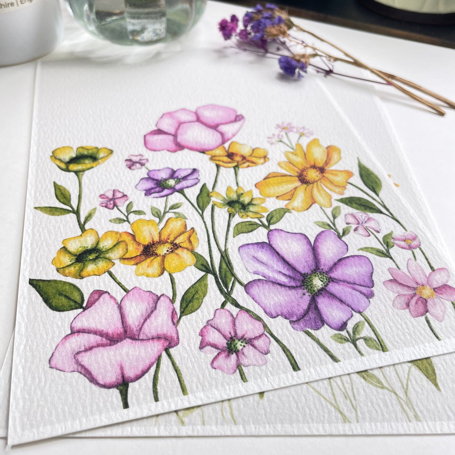 Gentle Meadow Collection