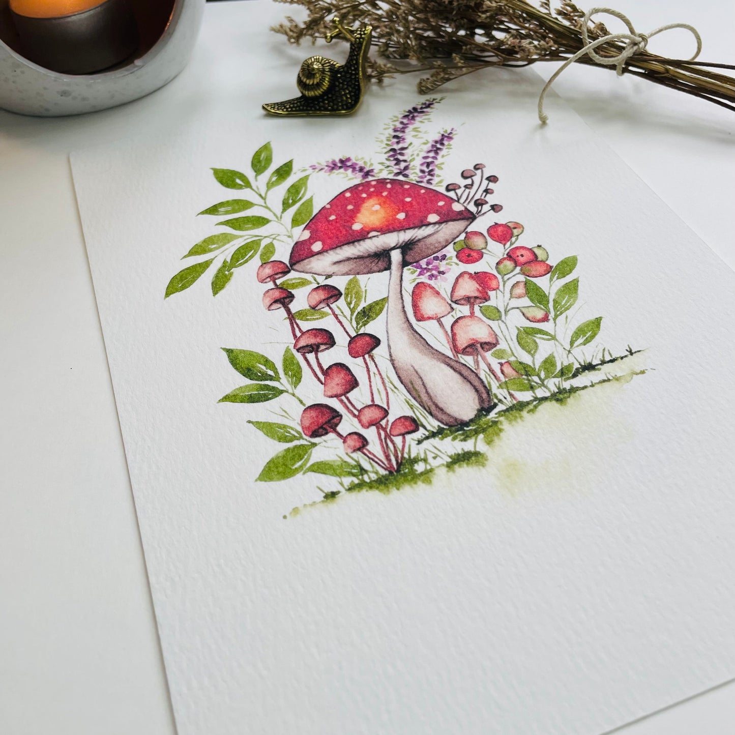 Toadstool in the Thicket