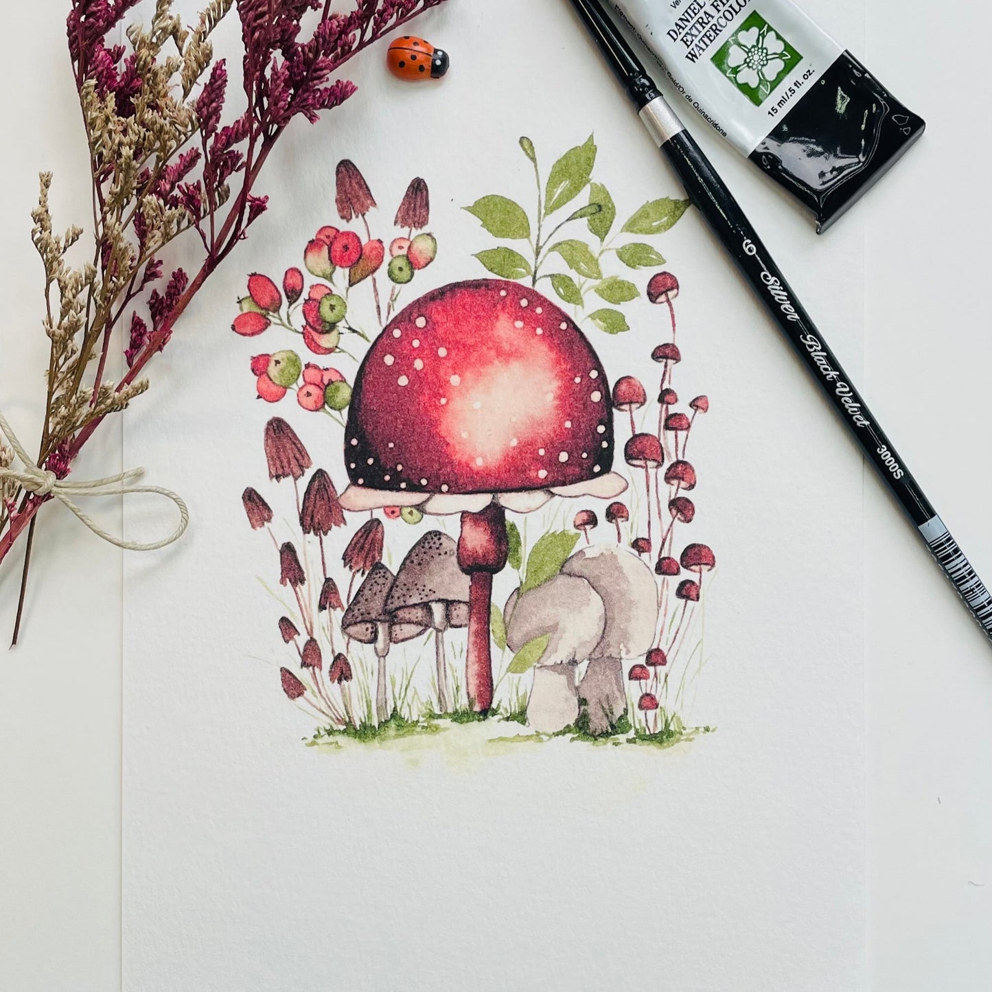 Enchanted Toadstool